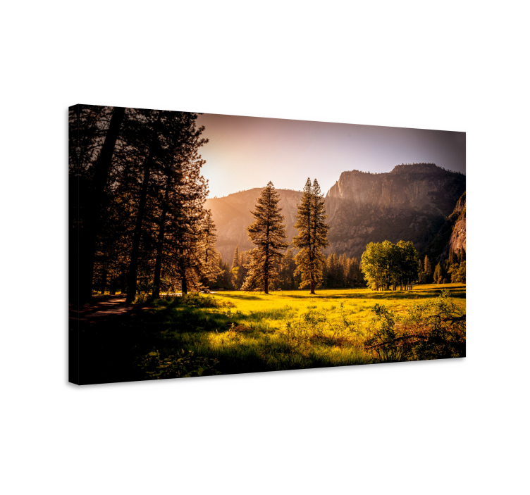 Quadro de paisagem floresta dourada iluminada pelo sol - TenStickers