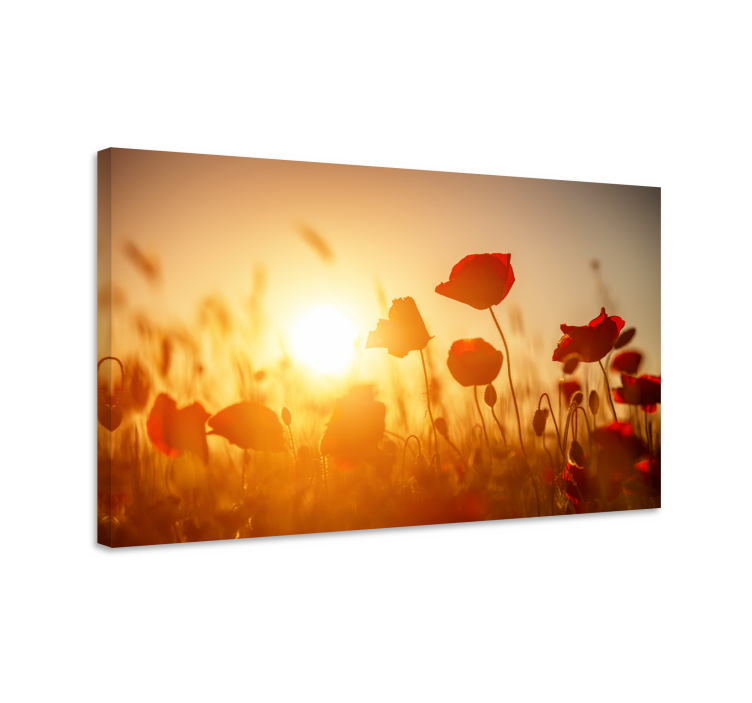 Quadro de flores Flores vermelhas no pôr do sol - TenStickers