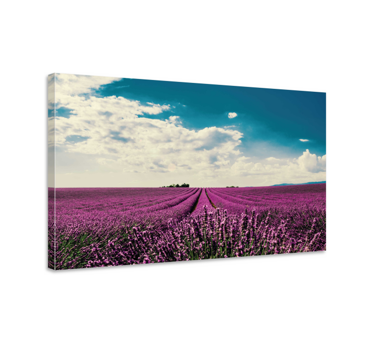 Quadro de flores paisagem de campo de lavanda - TenStickers