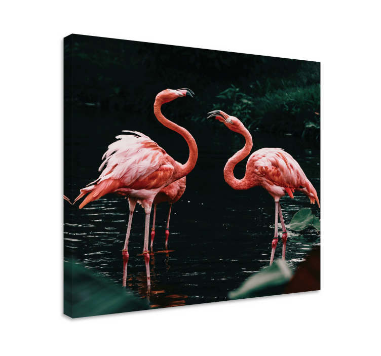 Quadro animais Casal de flamingos - TenStickers