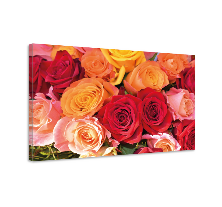 Quadro de flores Rosas vermelhas e rosa laranja - TenStickers