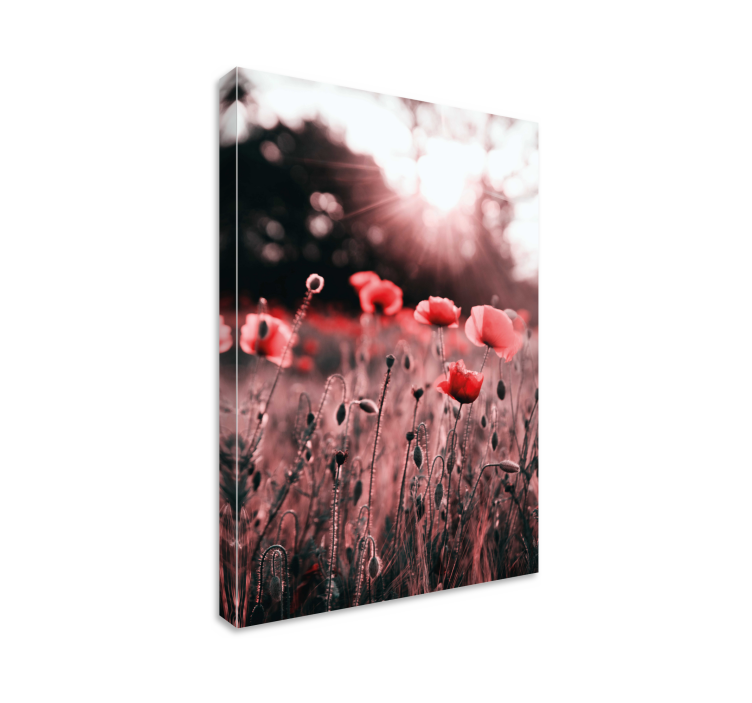 Quadro de flores brilho do campo de papoulas - TenStickers