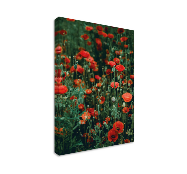 Quadro de flores campo de flores vermelhas - TenStickers