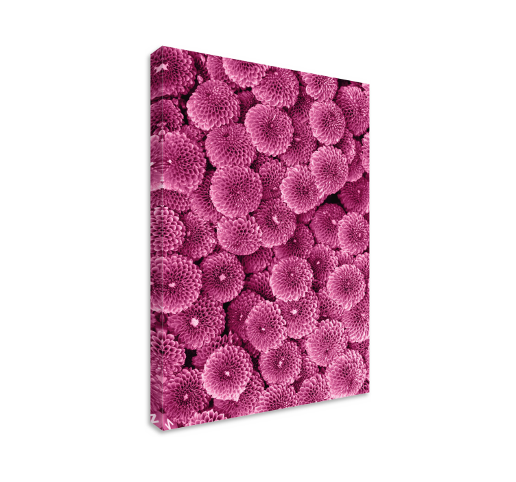 Quadro de flores Lindas flores rosa - TenStickers