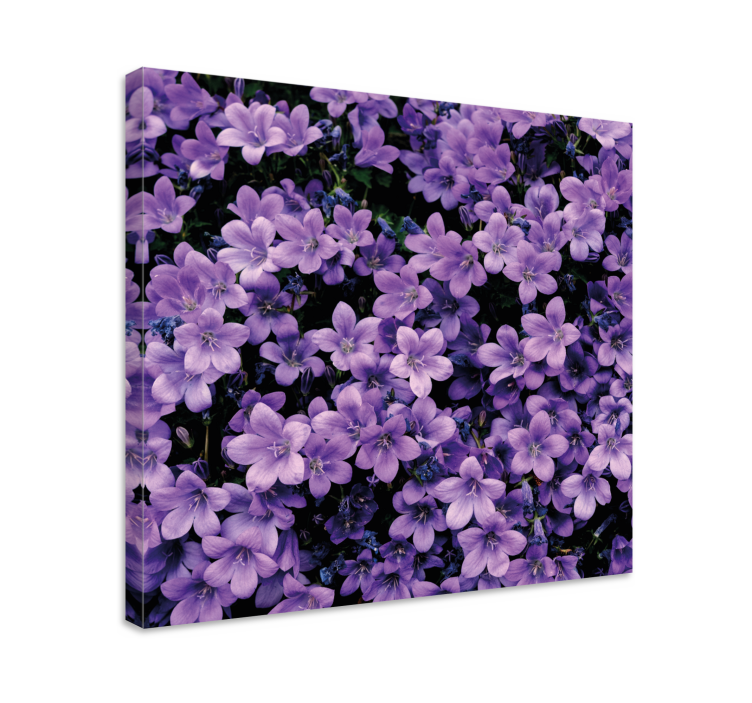 Quadro de flores Flores roxas vagas - TenStickers