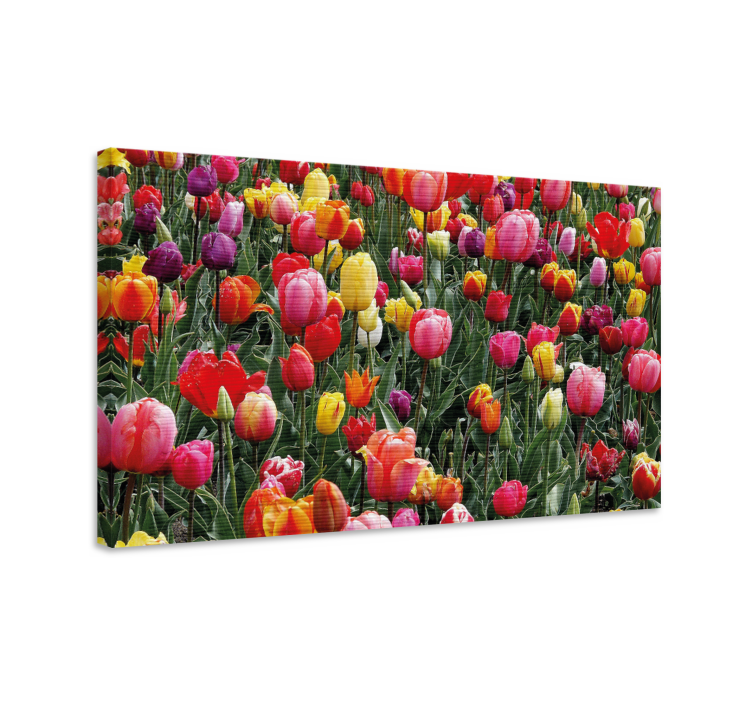Quadro de flores flores de tulipas coloridas - TenStickers