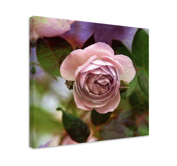Quadro de flores flor de rosa pink - TenStickers