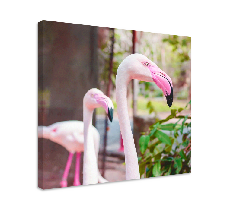 Quadro de pássaros flamingos elegantes juntos - TenStickers