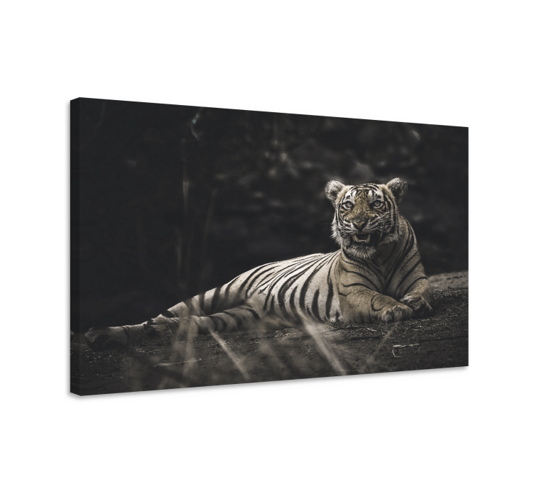 Quadro animais tigre majestoso descansando - TenStickers