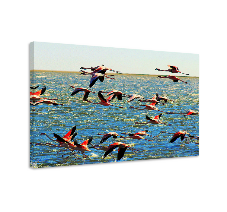Quadro de pássaros flamingos em voo - TenStickers