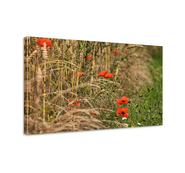 Quadro de flores campo de papoulas vibrante - TenStickers