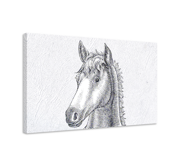 Quadro decorativo de cavalos esboço elegante de cavalos - TenStickers