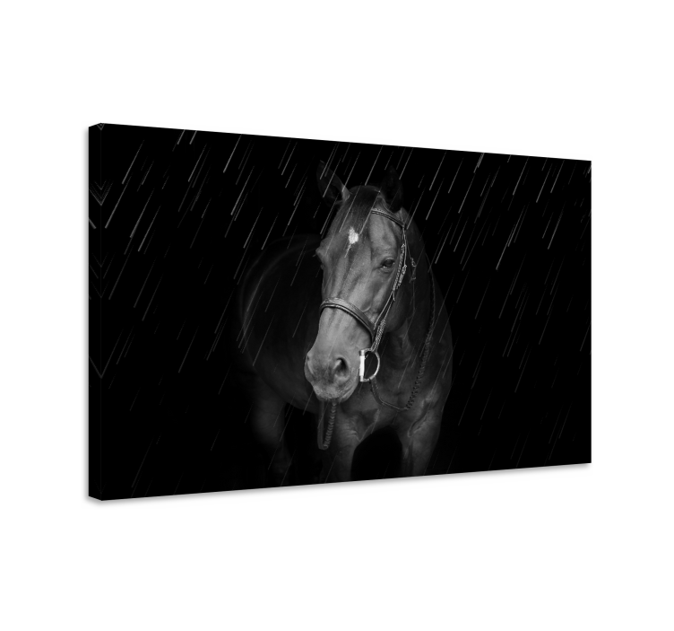 Quadro decorativo de cavalos cavalo negro majestoso - TenStickers