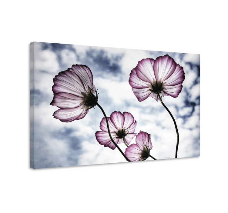 Quadro de flores produtoelegante de flores roxas cosmos - TenStickers