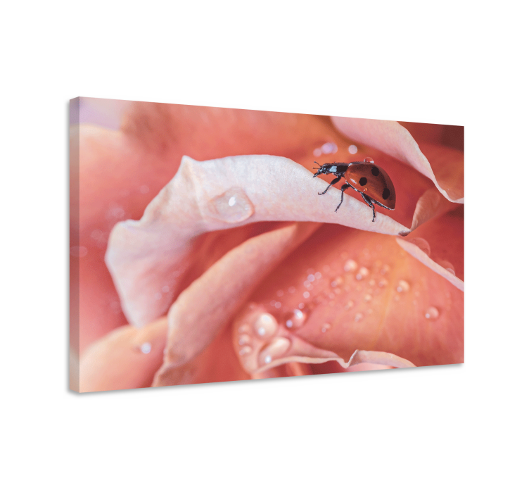 Quadro de flores joaninha na rosa - TenStickers