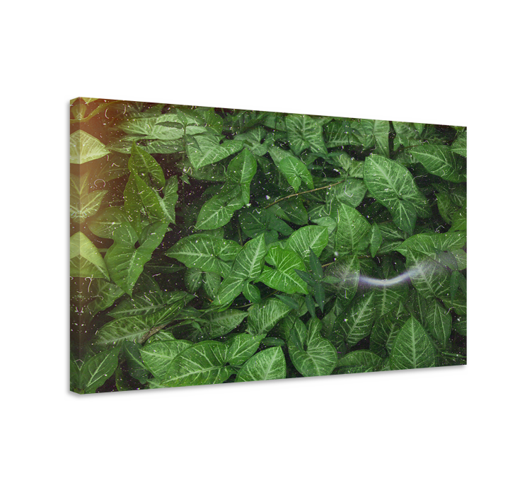 Quadro de flores com folhas verdes vibrantes - TenStickers