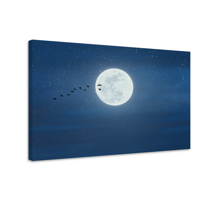 Quadro de paisagem voo à luz da lua - TenStickers