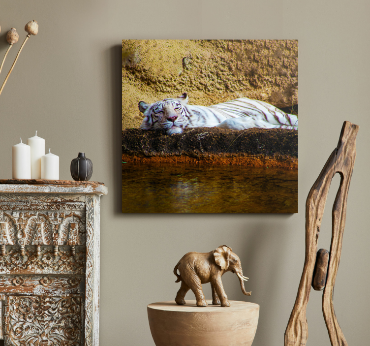 Quadro animais tigre branco dormindo - TenStickers
