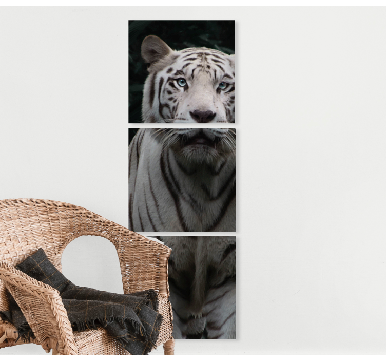 Quadro animais tigre branco majestoso - TenStickers
