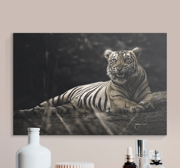 Quadro animais tigre majestoso descansando - TenStickers