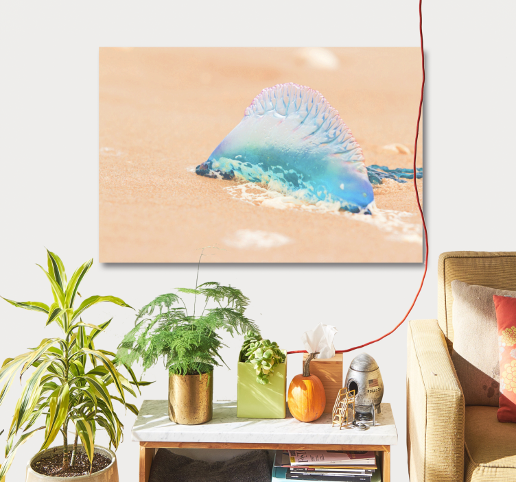 Quadro animais "caravela" portuguesa realista - TenStickers