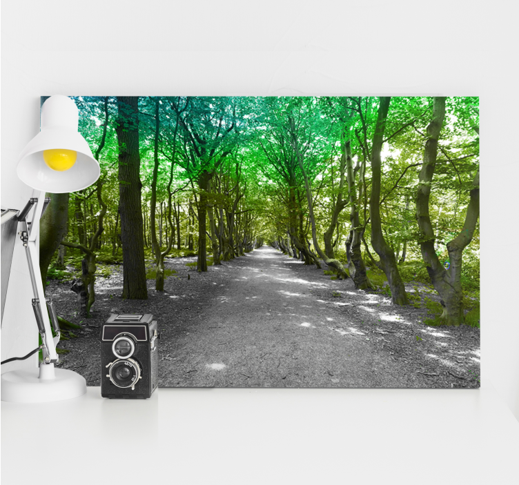 Quadro de árvores caminho da floresta verdejante - TenStickers