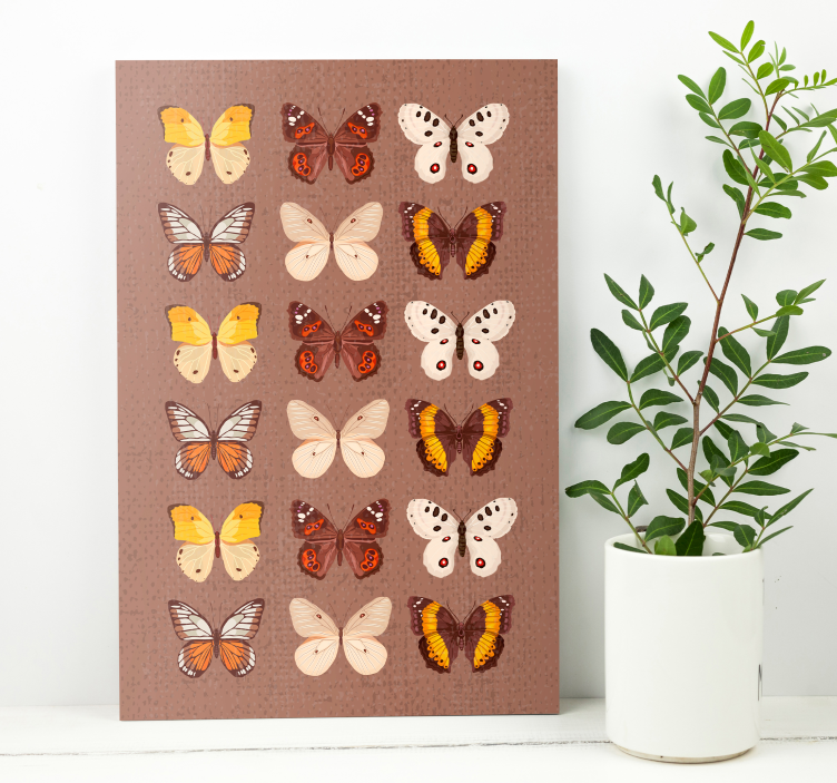 Quadro de borboletas exibição colorida de borboletas - TenStickers
