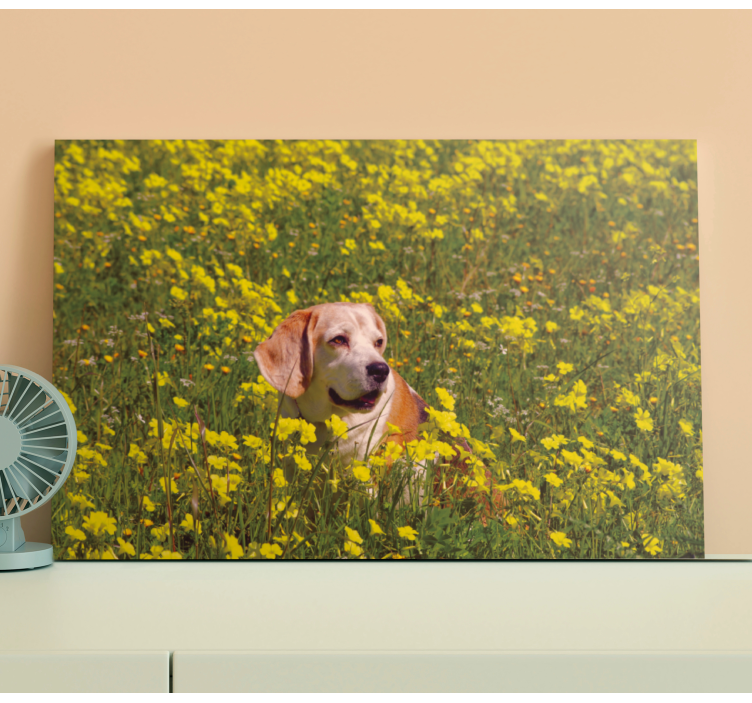 Quadro de cães cão feliz ao ar livre - TenStickers