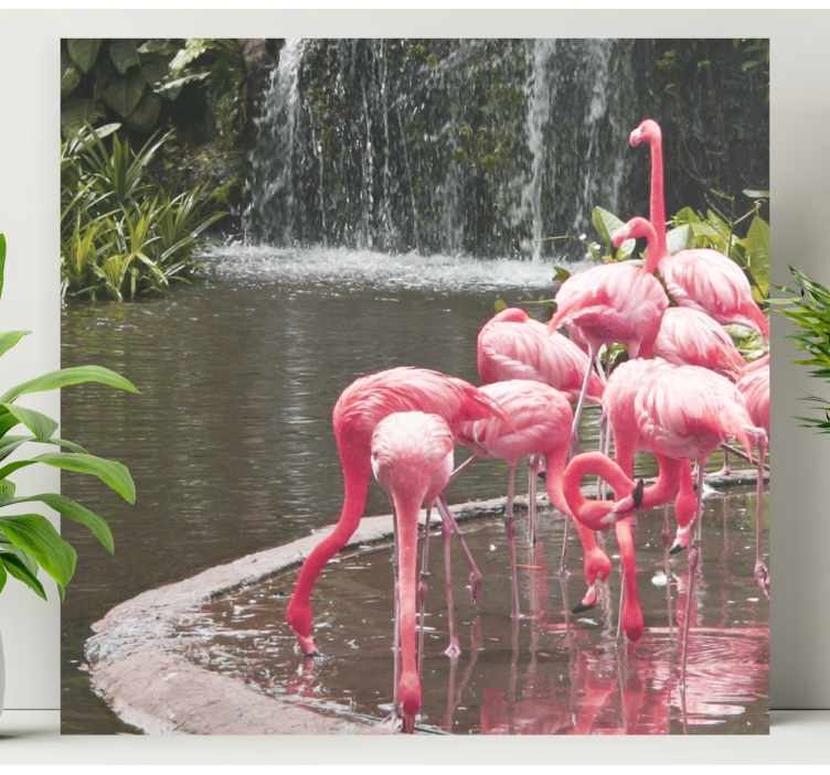 Quadro de cães na piscina de flamingos - TenStickers