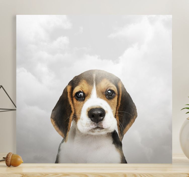 Quadro de cães retrato de beagle - TenStickers