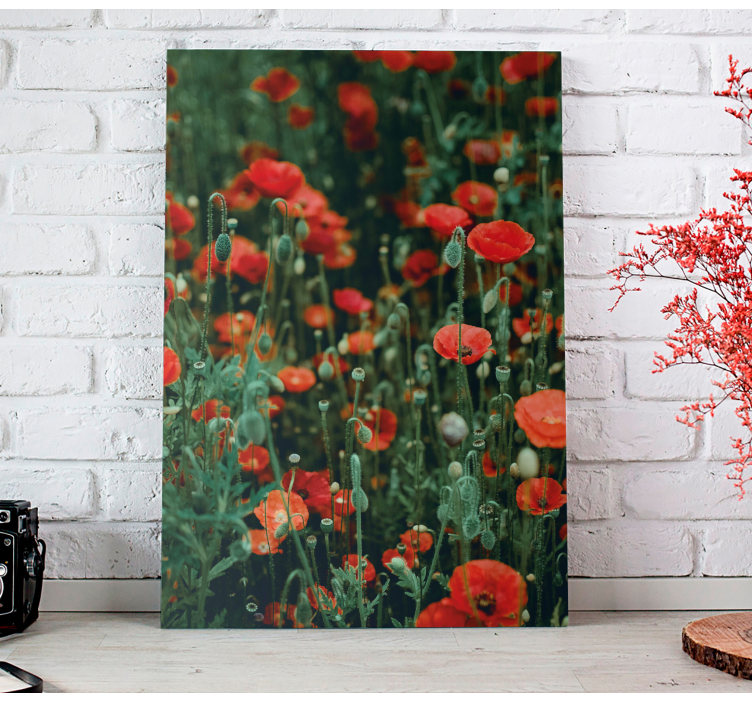 Quadro de flores campo de flores vermelhas - TenStickers