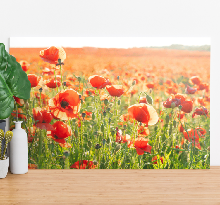 Quadro de flores campo de papoulas - TenStickers