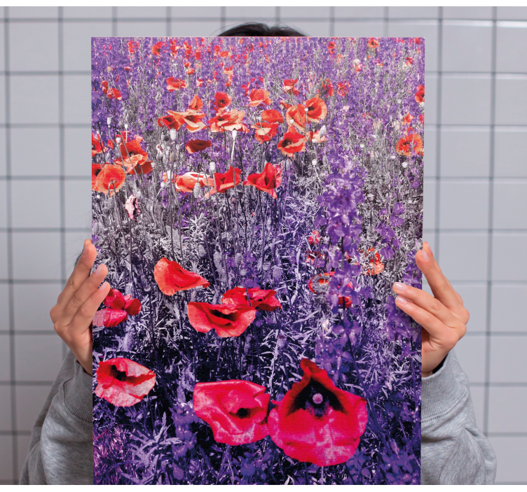 Quadro de flores campo de papoulas luminosas - TenStickers