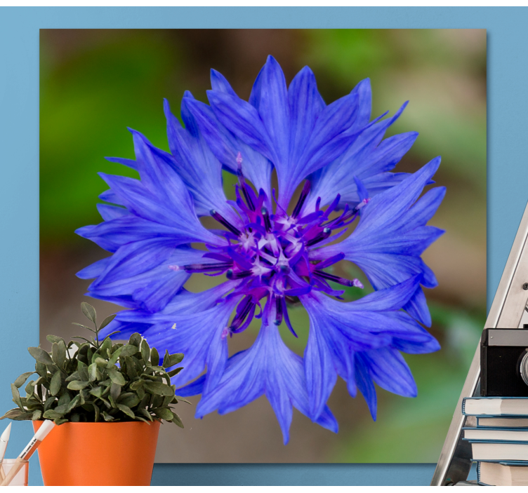 Quadro de flores flor azul em florada - TenStickers