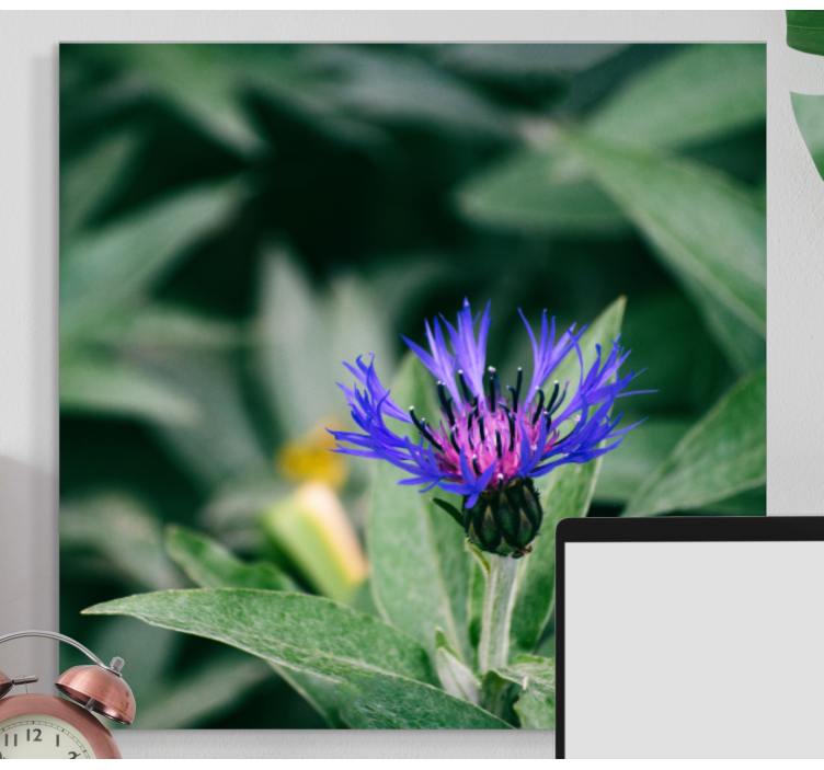 Quadro de flores flor roxa delicada - TenStickers