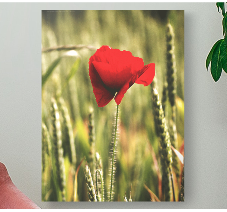 Quadro de flores flor vermelha em flor - TenStickers