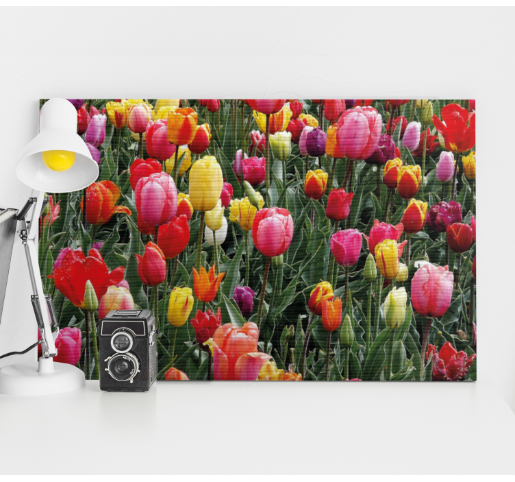 Quadro de flores flores de tulipas coloridas - TenStickers