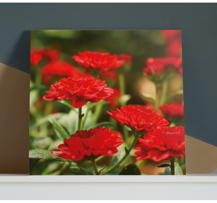 Quadro de flores flores vermelhas em flor - TenStickers