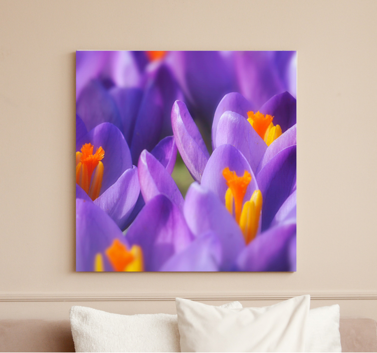 Quadro de flores flores vibrantes de crocus - TenStickers