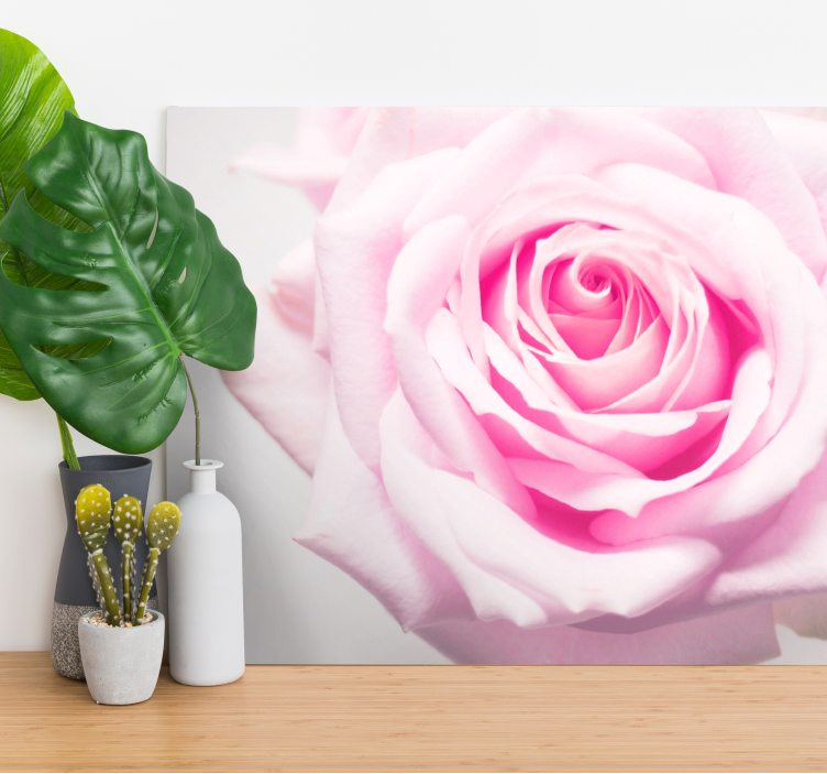 Quadro de flores rosa blush em flor - TenStickers