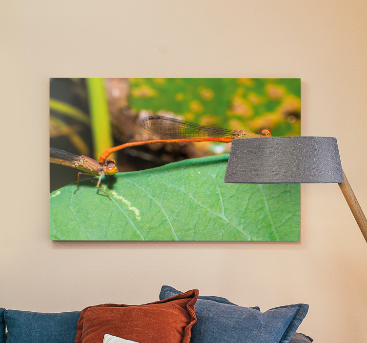 Quadro de libélulas par de libélulas - TenStickers