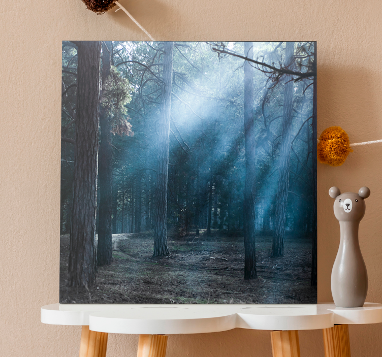 Quadro de paisage trilha nebulosa na floresta - TenStickers