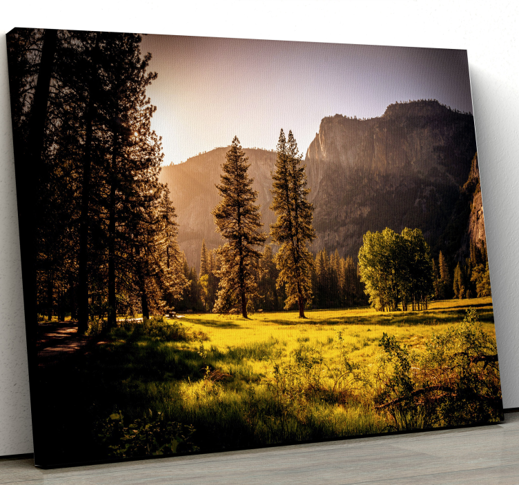 Quadro de paisagem floresta dourada iluminada pelo sol - TenStickers
