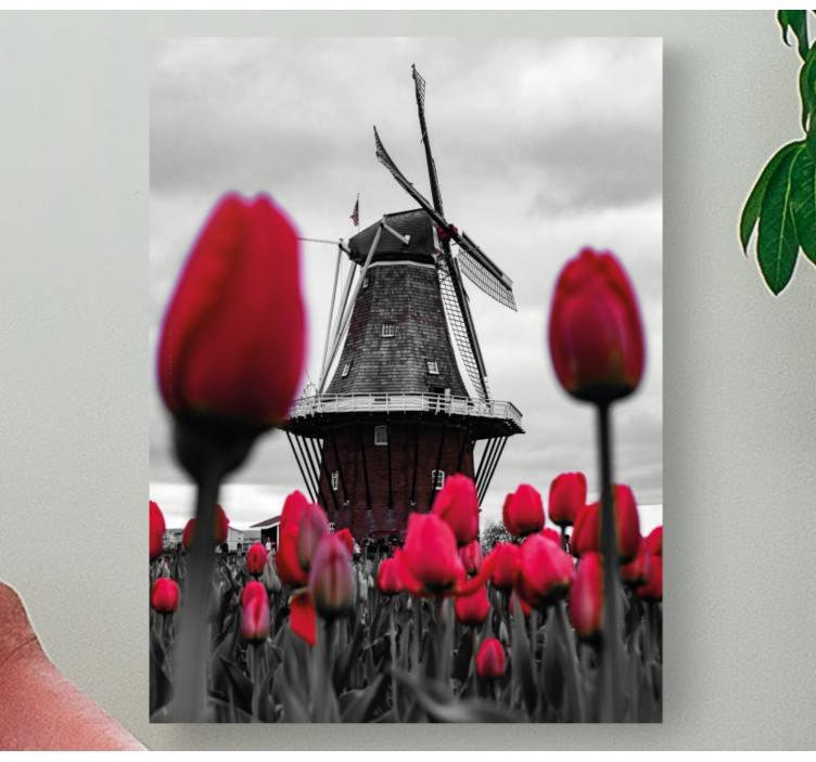 Quadro de paisagem moinho e tulipas - TenStickers
