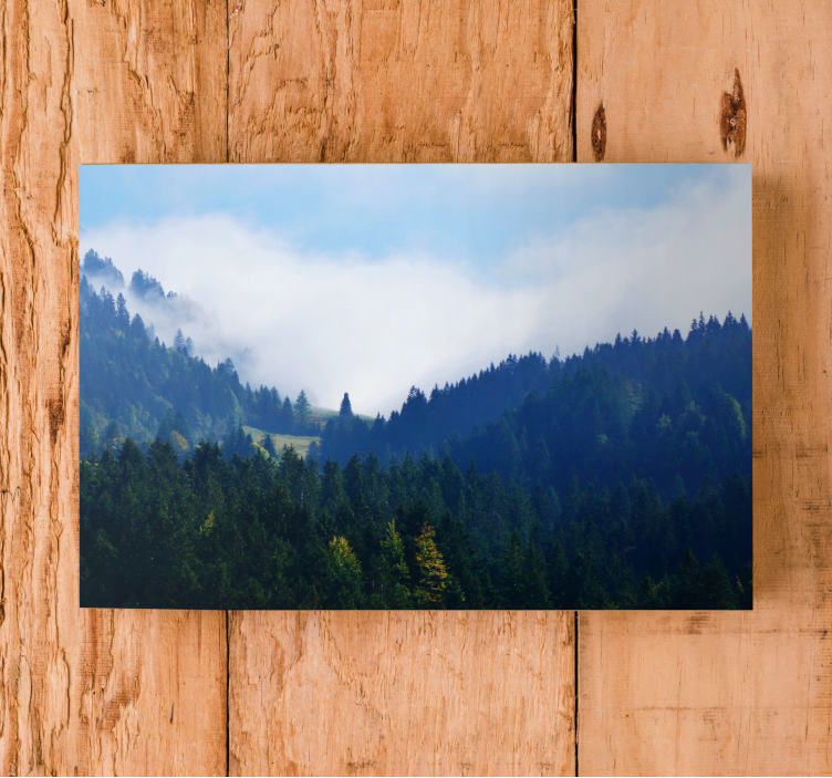 Quadro de paisagem picos florestais majestosos - TenStickers