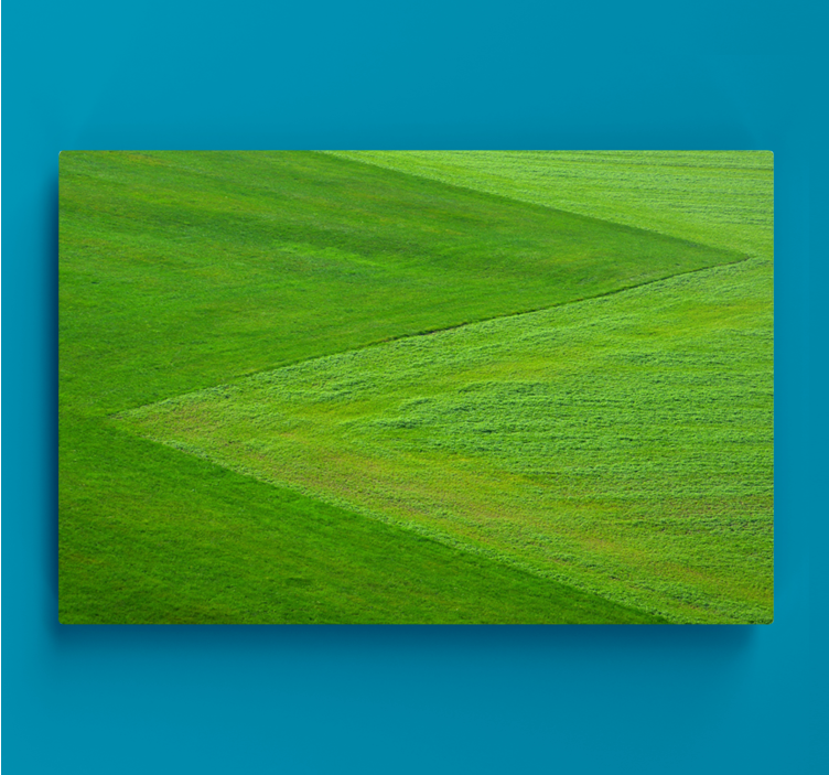 Quadro de paisagem terreno verdejante - TenStickers