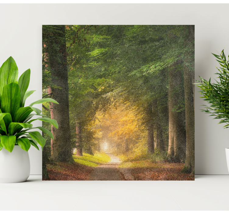 Quadro de paisagem tranquilidade na trilha da floresta - TenStickers