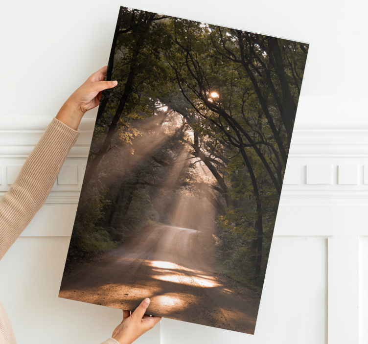 Quadro de paisagem trilha da floresta ensolarada - TenStickers