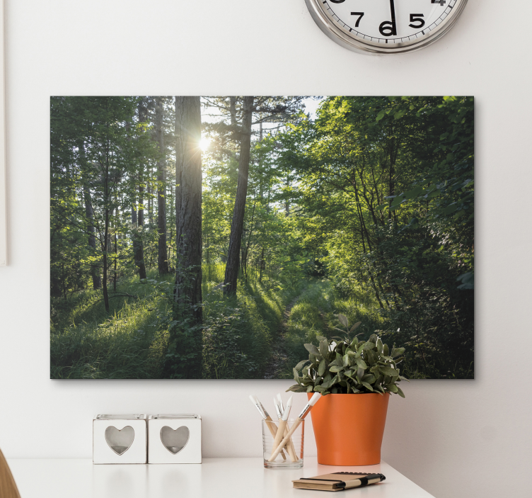 Quadro de paisagem trilha iluminada na floresta - TenStickers