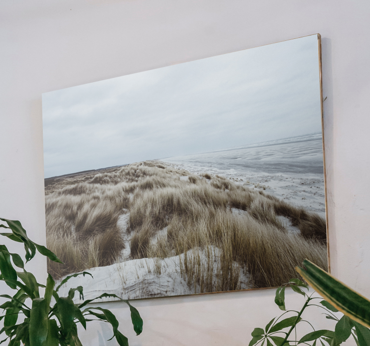 Quadro de paisagem vista de duna costeira - TenStickers